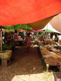 5-day rotating market