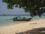 Fifi plat op dr buik Koh Lanta
