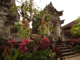 Tempel ubud