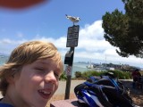 Picknick in Sauselito