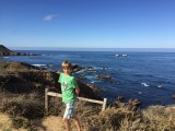 Bjorn langs highway 1
