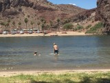 Zwemmen in de Colorado op weg naar Lake Havasu