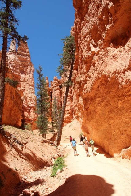 Bryce Canyon