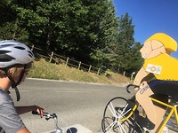 Tour de France bar.