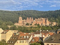 IMG_2248