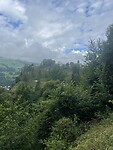 IMG_2265