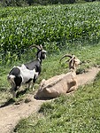 IMG_2319