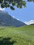 IMG_2318
