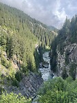 IMG_2331
