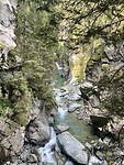 IMG_2341