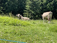IMG_2376