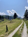 IMG_2377