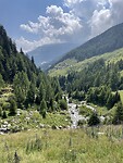 IMG_2488