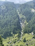 IMG_2486