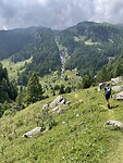 IMG_2485