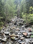 IMG_2506