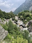 IMG_2520