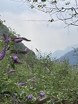 IMG_2523