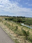 IMG_2559