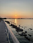 IMG_2583
