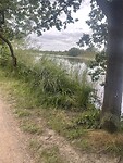 IMG_2606