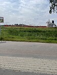 IMG_2594