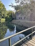 IMG_2612