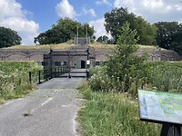 IMG_2620