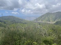 IMG_4295