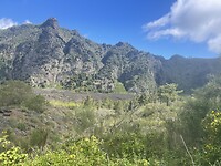 IMG_4280