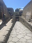 IMG_4260
