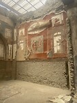 IMG_4235