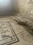 IMG_4230