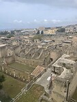 IMG_4224