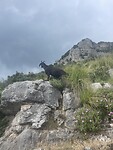 IMG_4339