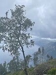 IMG_4315