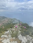 IMG_4307
