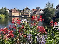 IMG_4915