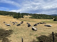 IMG_5181