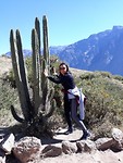 Colca canyon