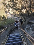 sacha stairs