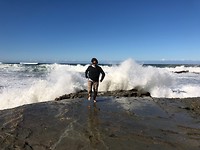 sacha wollongong