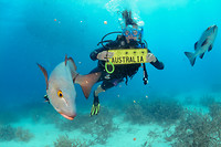 Diving Australië