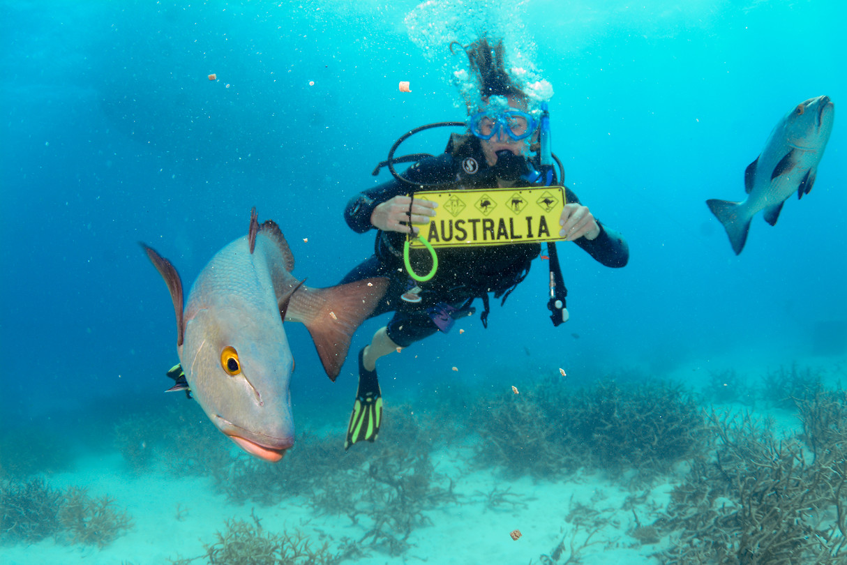 Diving Australië