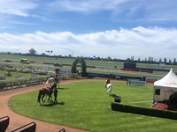 paardenrace