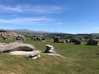 elephant rocks