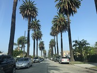 Streets la