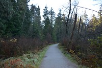 wandelpadje