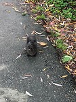 hey little friend