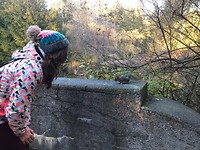 lovely nature